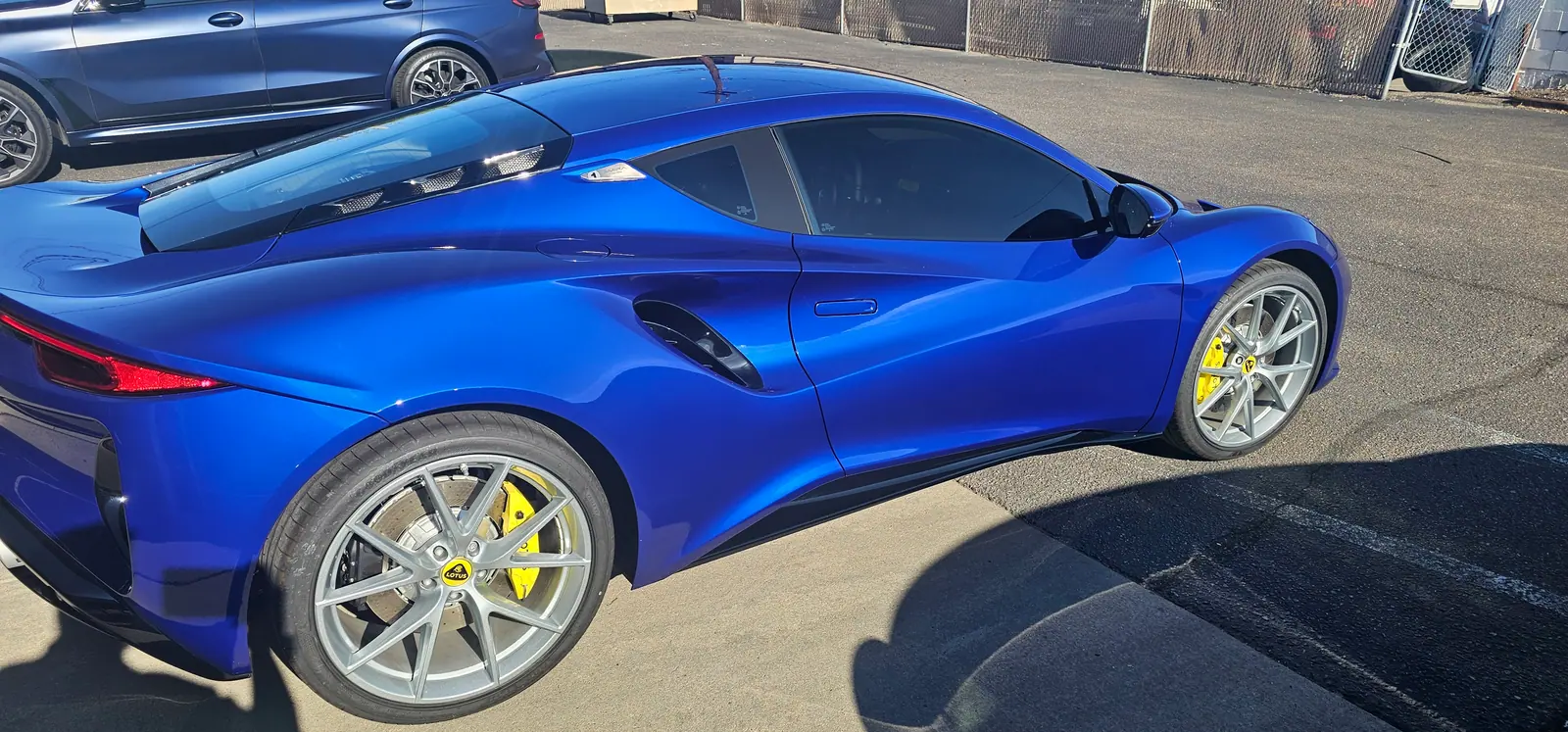 Blue Lotus Emira detailed